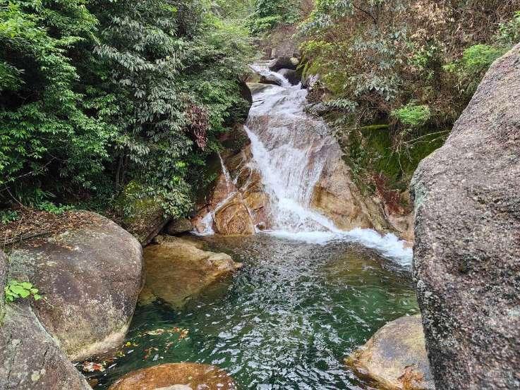 两会会客厅丨省人大代表、湘西州长陈华:扛牢责任守住绿水青山 聚力建设现代化新湘西