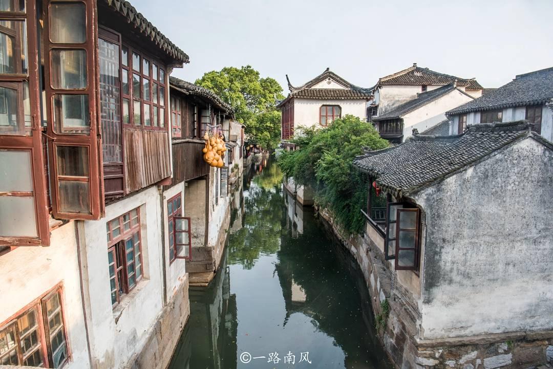 变异动物之战